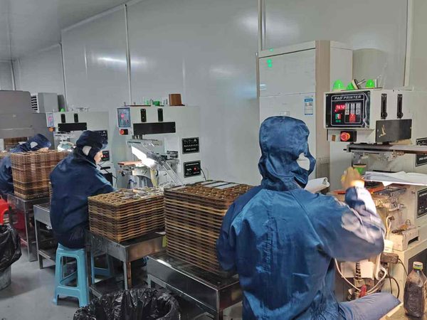 Workers in dust-free suits